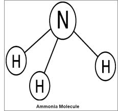 Ammonia Chemistry